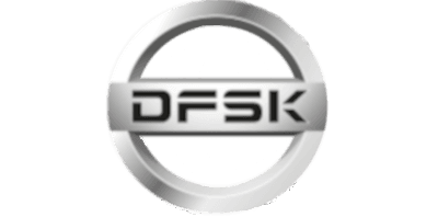 dfsk logo